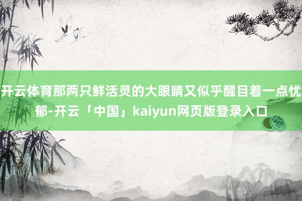 开云体育那两只鲜活灵的大眼睛又似乎醒目着一点忧郁-开云「中国」kaiyun网页版登录入口