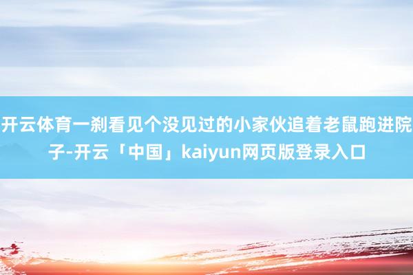 开云体育一刹看见个没见过的小家伙追着老鼠跑进院子-开云「中国」kaiyun网页版登录入口