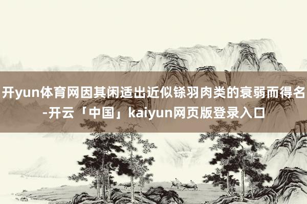 开yun体育网因其闲适出近似铩羽肉类的衰弱而得名-开云「中国」kaiyun网页版登录入口