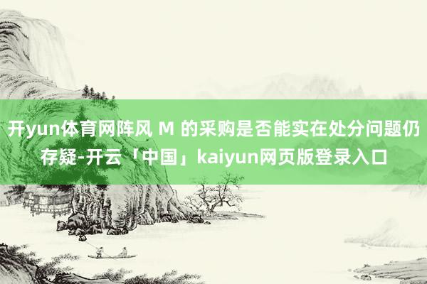 开yun体育网阵风 M 的采购是否能实在处分问题仍存疑-开云「中国」kaiyun网页版登录入口